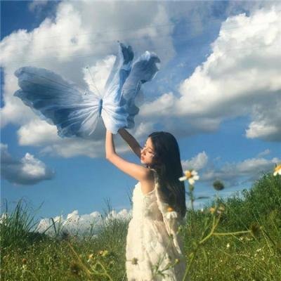 回声 在线观看
