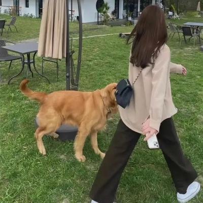 奴隶的梦想 在线观看