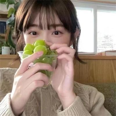 露营者日记 在线观看